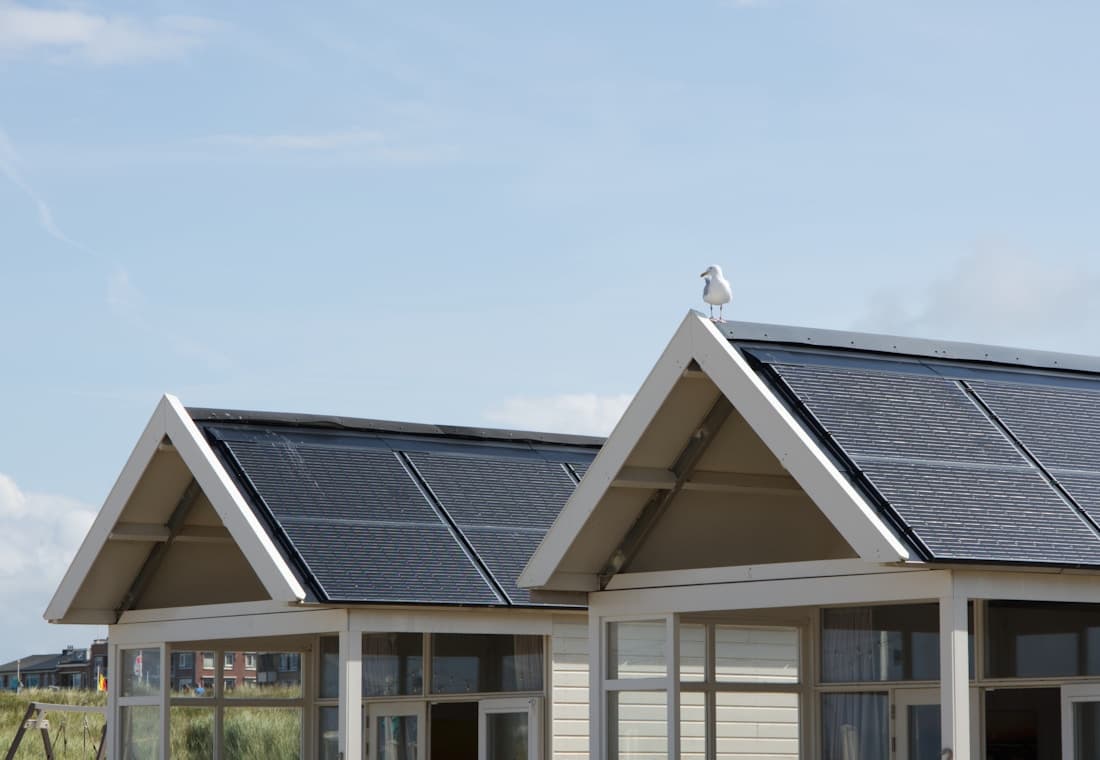 Solar panels covering the roofs of bright coastal homes